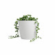 Pot - ARTEVASI - SAN REMO - 30 ma - Blanc