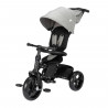 BEBECONFORT WINDY, Tricycle, pliage compact, confortable, siege réversible, de 10 mois a 5 ans, Tinted Gray