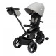 BEBECONFORT WINDY, Tricycle, pliage compact, confortable, siege réversible, de 10 mois a 5 ans, Tinted Gray