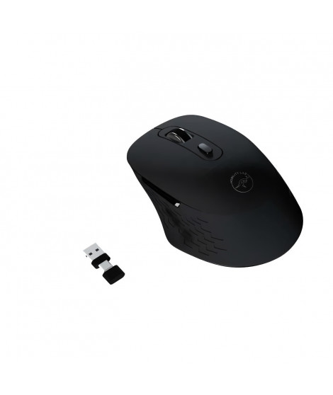 Souris sans fil - MOBILITY LAB - Omega - Bluetooth et récepteur 2,4GHz - Noir - Clics silencieux - Précision réglable