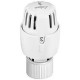 TETE THERMOSTATIQUE TL 10 W