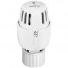 TETE THERMOSTATIQUE TL 10 W