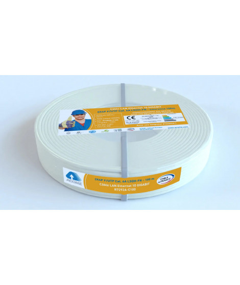 CABLE F/UTP 2X4P CAT6A C100 IVOIRE LSOH-DCA