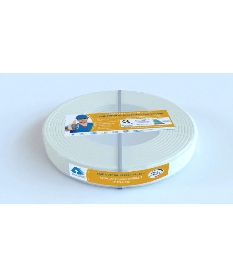 CABLE F/UTP 2X4P CAT6A C50 IVOIRE LSOH-DCA