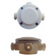 EYELED EXT. INOX/BLEU V2