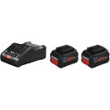 STARTER-SET PROCORE 2XPROCORE1 8V 8.0AH+GAL 18V-16