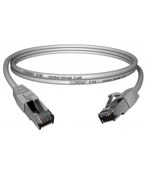 CORDON CAT6 F/UTP 2M