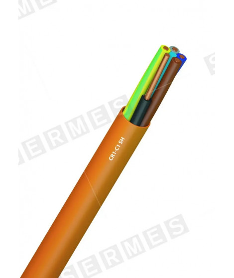 CR1-C1 4G6