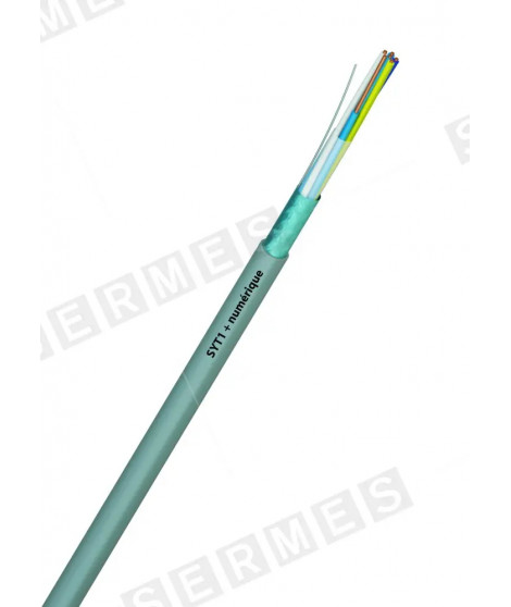SYT1 FAST 10PAWG20 GR T500 CU