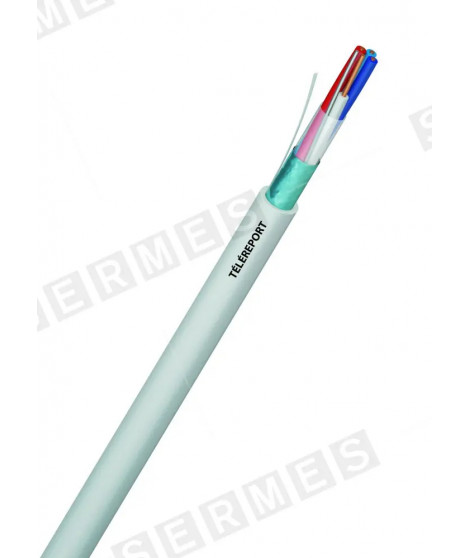 TELEREPORT ARME 2P0.6 NR C100