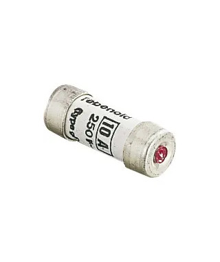 FUSIBLE DOM 8,5X23 10A VOYANT