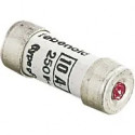 FUSIBLE DOM 8,5X23 10A VOYANT