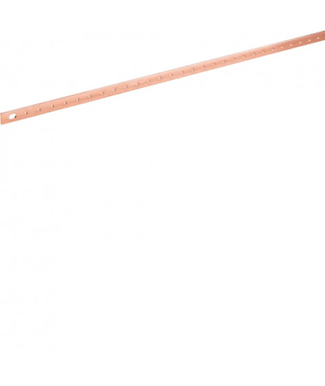 BARRE CU PERFOREE M6 250A 20X5 L1000