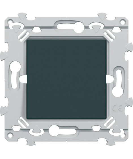 INTERBP ANTHRACITE