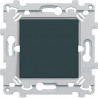INTERBP ANTHRACITE
