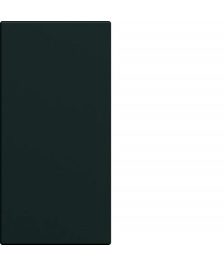 ENJOLIVEUR INTERRUPTEUR GALLER Y 1MODULE NIGHT