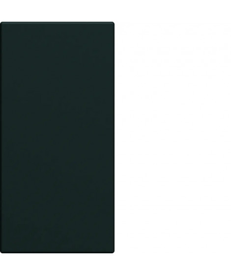 ENJOLIVEUR INTERRUPTEUR GALLER Y 1MODULE NIGHT