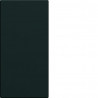 ENJOLIVEUR INTERRUPTEUR GALLER Y 1MODULE NIGHT