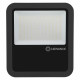PROJ PFM 80W/3000K SYM 100 NOI R