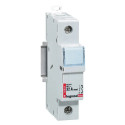 Coupe-circuit sectionneur - 1P - cartouche cylind ind neutre - 500 V~