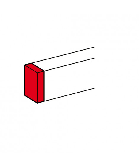 Embout pour goulottes DLP monobloc 35x80mm ou 50x80mm - blanc