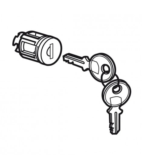 Barillet à clé type405 pour porte métal ou vitrée XL³800/400/160 - 1 jeu 2 clés