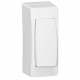 Cadre app.saillie 1 poste étroit - pose sur moulure DLPlus 40x12