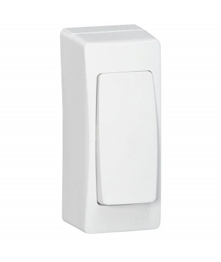 Cadre app.saillie 1 poste étroit - pose sur moulure DLPlus 40x12,5 + h.16 -blanc