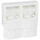 Cadre Appareillage saillie 2 postes pour moulures DLPlus épaisseur 16mm - blanc