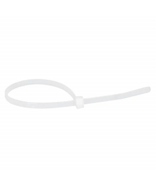 Collier Colring incolore denture intérieure largeur 3,5 et longueur à plat 140mm