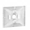 Embase adhésive incolore Colring pour colliers largeur 4