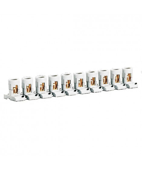 Barrette de 10 bornes séparables avec capacité par borne 2x25mm² et pas 21