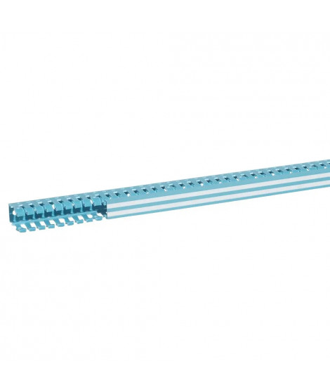 Goulotte Lina 25 de section 25x40mm - longueur 2m