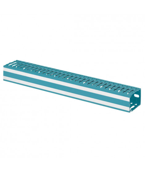 Goulotte Lina 25 de section 40x60mm - longueur 2m