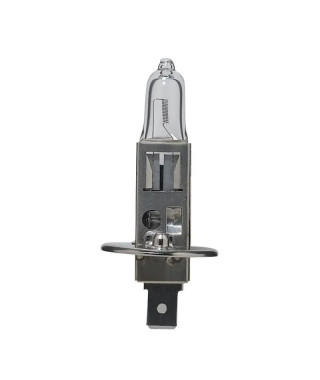 Lampe halogène BA9 S H 24V: feux tournants
