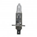 Lampe halogène BA9 S H 24V: feux tournants