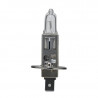 Lampe halogène BA9 S H 24V: feux tournants
