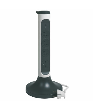 Rallonge tour 4x2P+T Surface ,interrupteur, parafoudre et cordon 2m - blanc/gris
