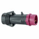 Fiche droite Hypra IP44 TBT 16A - 20V~ à 25V~ - 2P - plastique