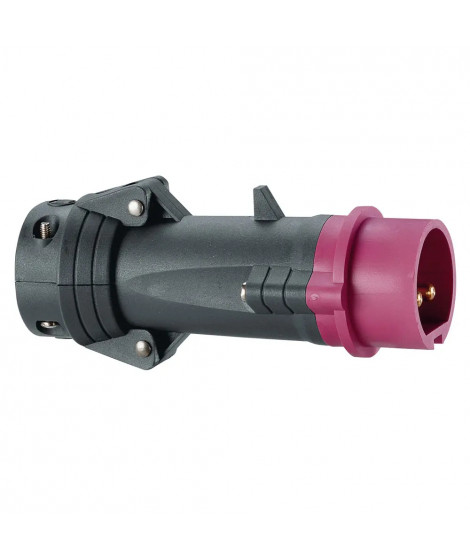 Fiche droite Hypra IP44 TBT 16A - 20V~ à 25V~ - 2P - plastique