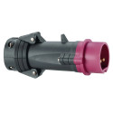 Fiche droite Hypra IP44 TBT 16A - 20V~ à 25V~ - 2P - plastique