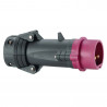 Fiche droite Hypra IP44 TBT 16A - 20V~ à 25V~ - 2P - plastique