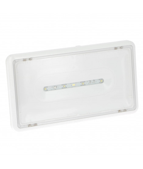 BAES d'ambiance saillie à LEDs 400lm plastique IP43 IK07 SATI Connecté