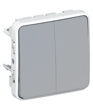Double interrupteur ou va-et-vient étanche Plexo composable IP55 10AX 250V gris