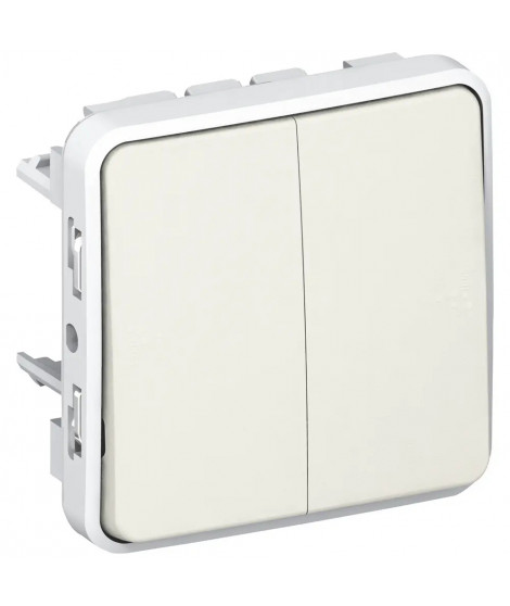 Double interrupteur ou va-et-vient étanche Plexo composable IP55 10AX 250V blanc