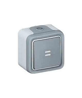 Interrupteur ou va-et-vient lumineux Plexo complet IP55 saillie 10AX 250V - gris