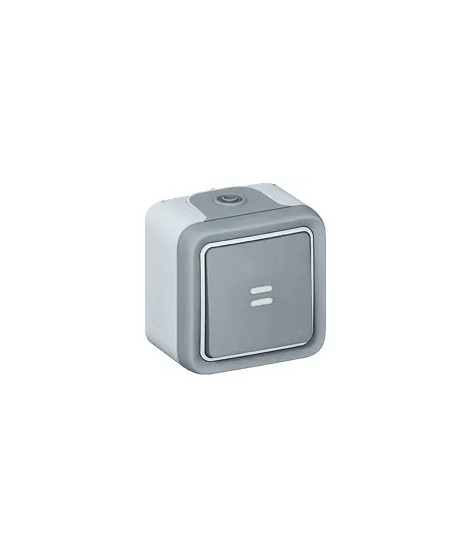 Interrupteur ou va-et-vient lumineux Plexo complet IP55 saillie 10AX 250V - gris