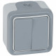Double interrupteur ou va-et-vient étanche Plexo complet IP55 saillie - gris