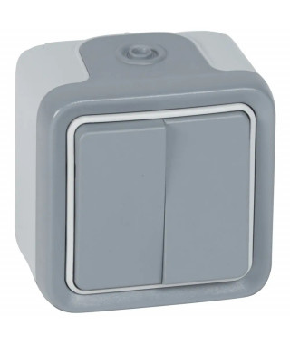 Double interrupteur ou va-et-vient étanche Plexo complet IP55 saillie - gris
