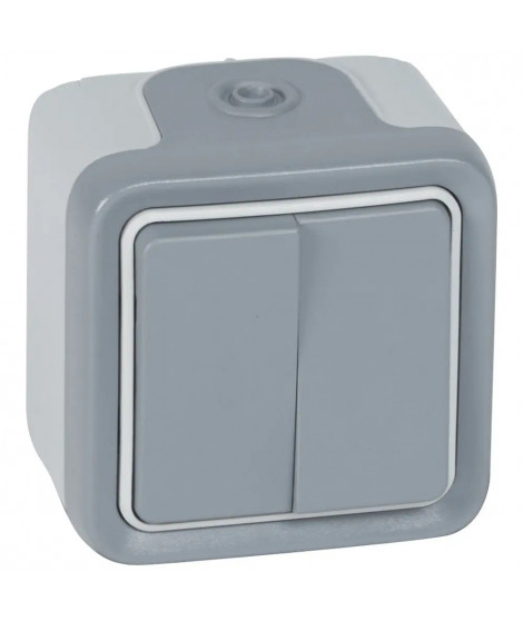 Double interrupteur ou va-et-vient étanche Plexo complet IP55 saillie - gris